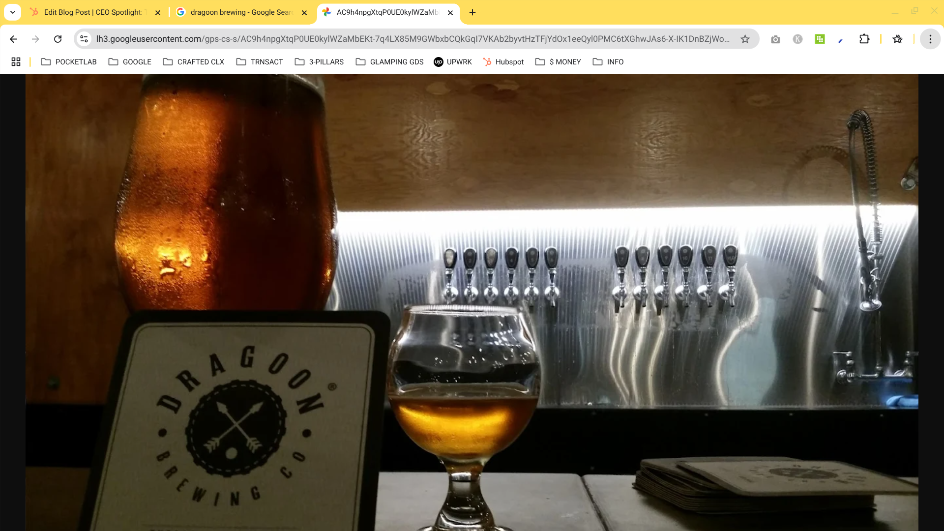 CEO of dragoon brewing case study